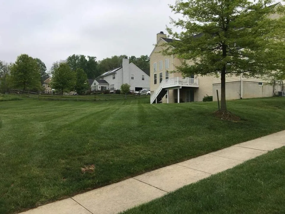 Trusted garden landscaping experts serving Avondale, PA - Jared Landscaping