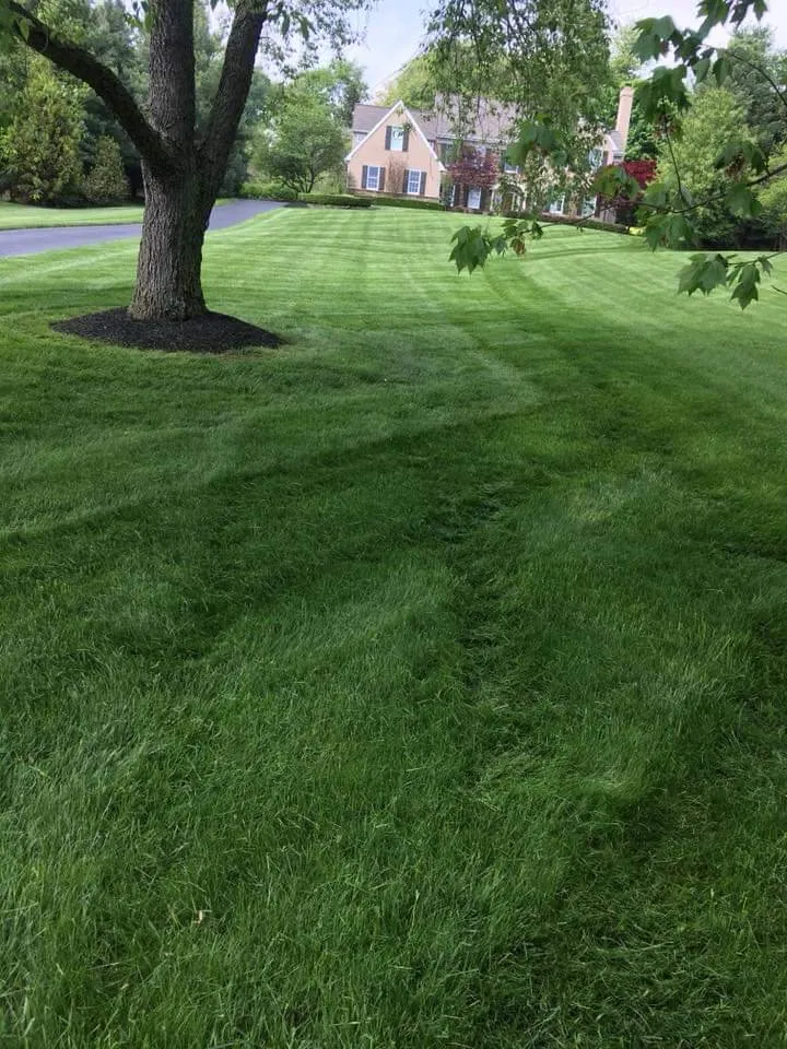 Top-rated landscape installation in Avondale, PA by Jared Landscaping