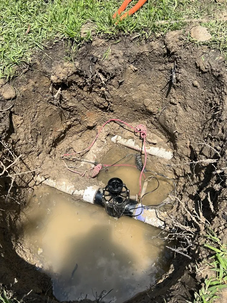 Top-rated landscaping services for year-round maintenance in Ridgeland, SC by Jared Lawn Service