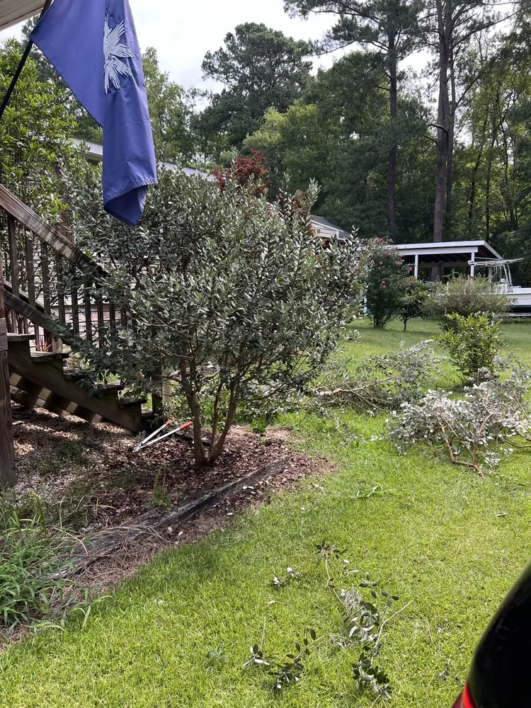 Custom yard cleanup service in Ridgeland, SC by Jared Lawn Service