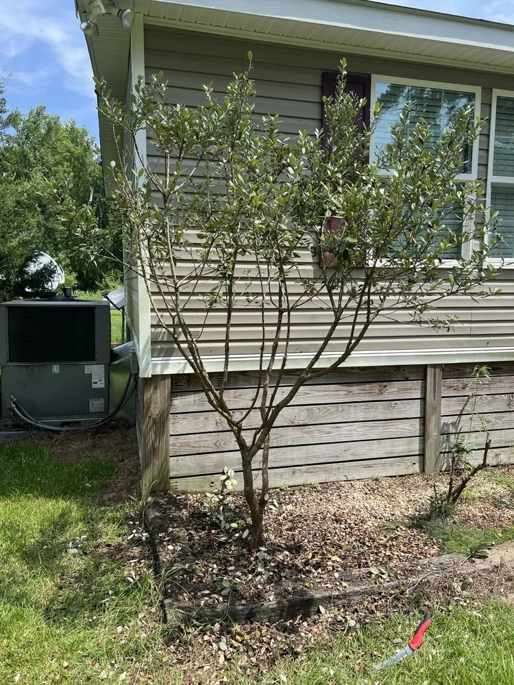 Affordable landscaping services in Ridgeland, SC - Jared Lawn Service