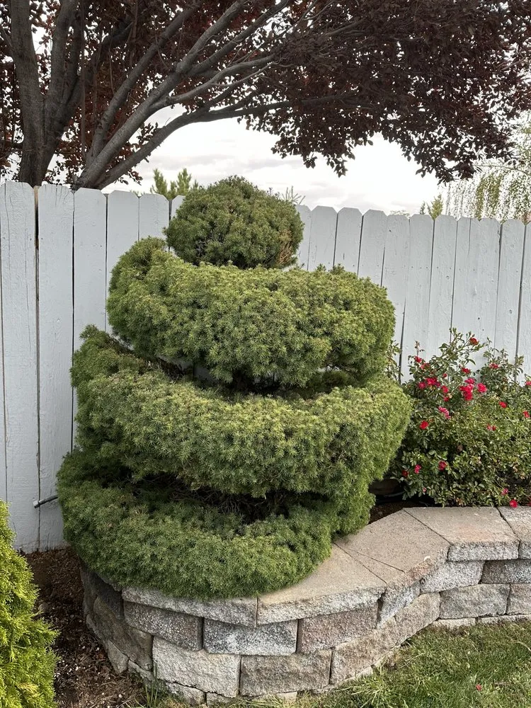 Professional landscaping services in Sparks, NV by Jared’s Junk & Hauling Services