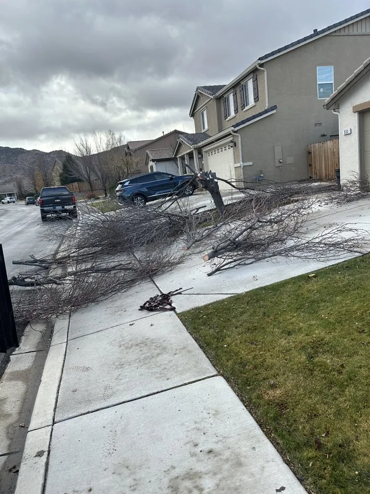 Reliable lawn mowing service for homes across Sparks, NV - Jared’s Junk & Hauling Services