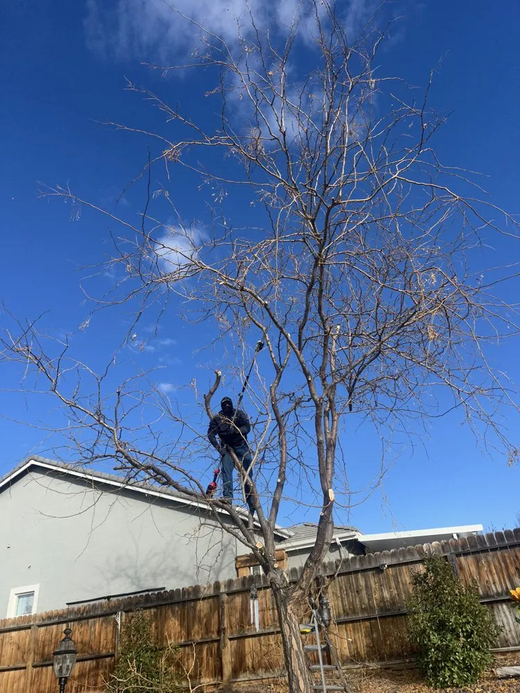 Expert yard cleanup service with custom design in Sparks, NV by Jared’s Junk & Hauling Services