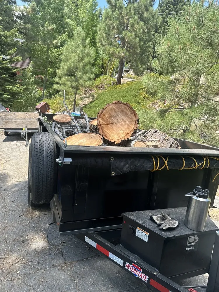 Professional landscaping services in Sparks, NV - Jared’s Junk & Hauling Services