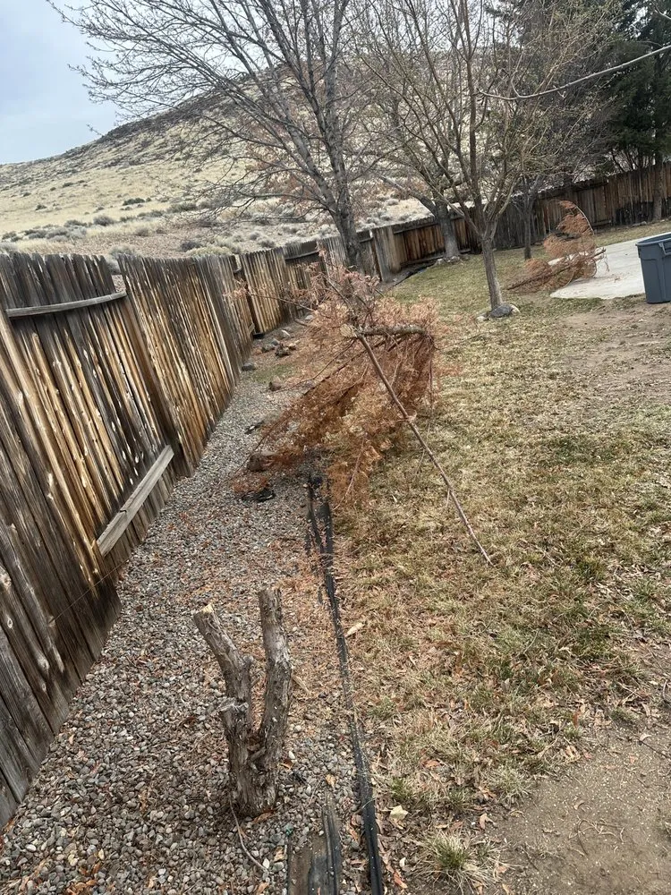Local outdoor landscaping for outdoor upgrades in Sparks, NV by Jared’s Junk & Hauling Services