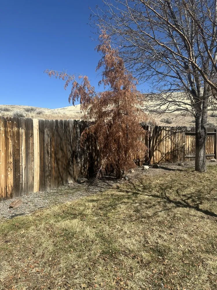 Professional landscape design in Sparks, NV by Jared’s Junk & Hauling Services