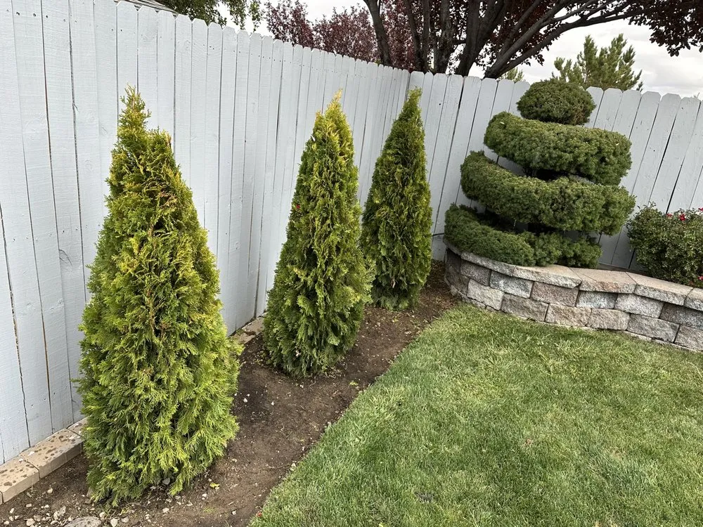 Professional residential landscaping in Sparks, NV by Jared’s Junk & Hauling Services