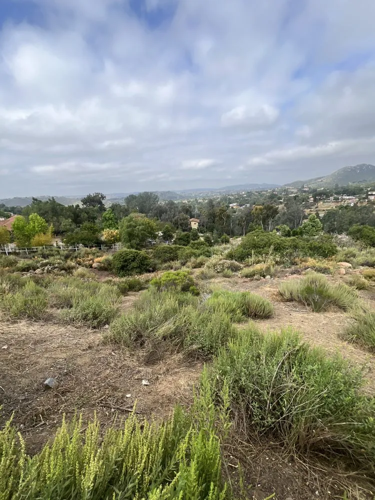 Professional garden landscaping in Poway, CA by Jared's Landscaping