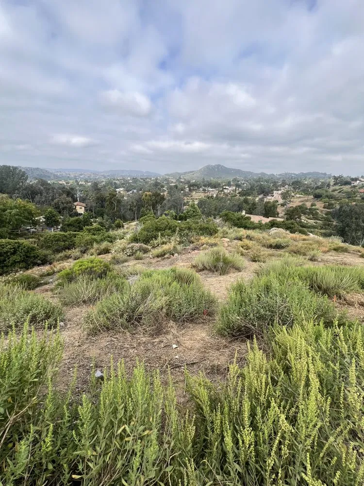 Top-rated landscape installation in Poway, CA by Jared's Landscaping