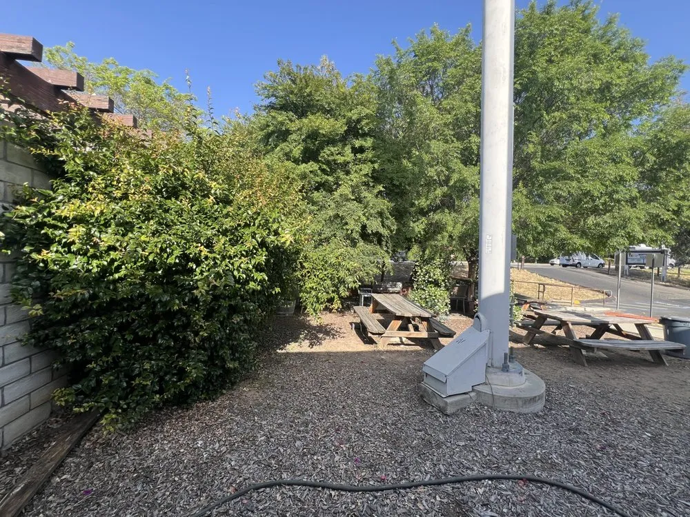 Custom yard cleanup service in Poway, CA - Jared's Landscaping