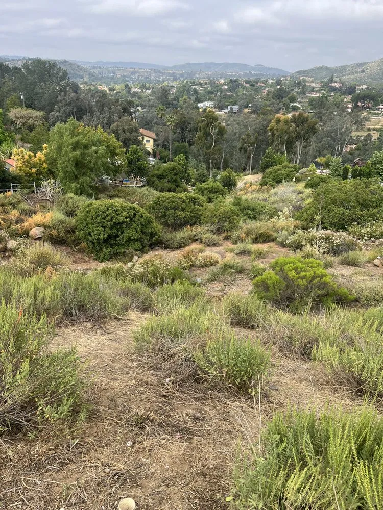 Expert lawn care service for year-round maintenance across Poway, CA - Jared's Landscaping