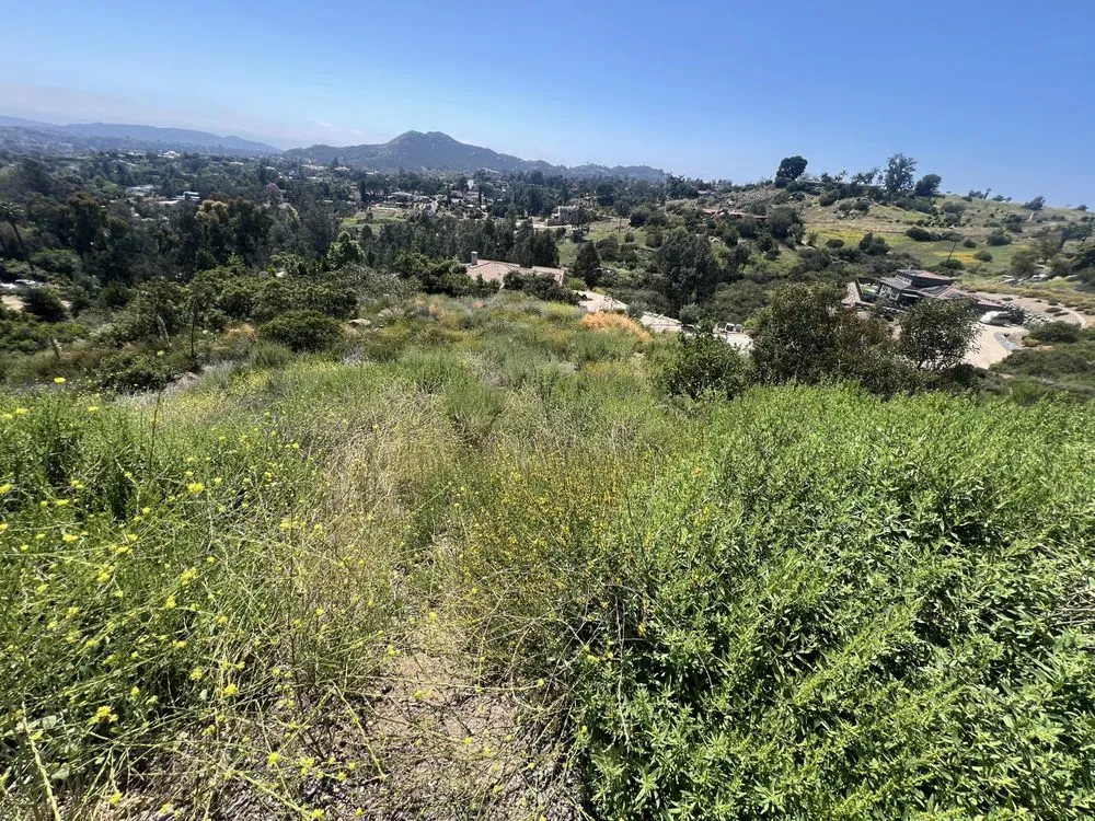 Top-rated outdoor landscaping near you across Poway, CA - Jared's Landscaping