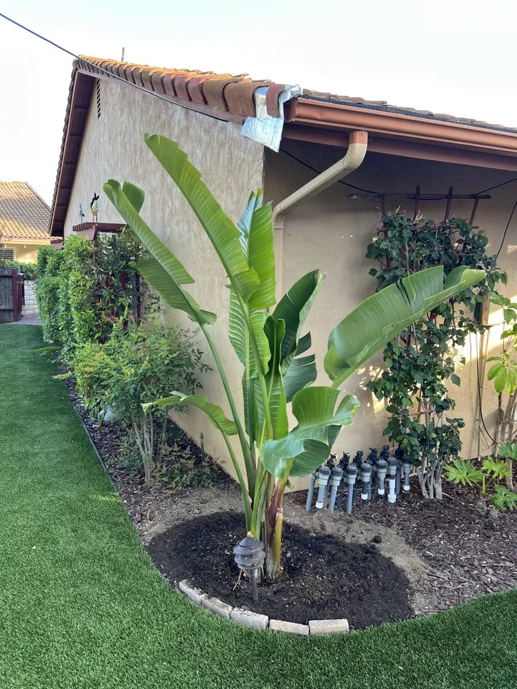 Top-rated residential landscaping for beautiful yards in Poway, CA by Jared's Landscaping