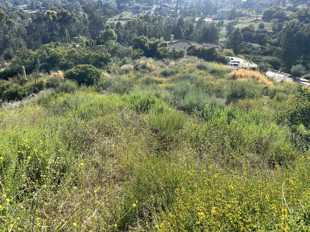 Affordable landscaping services for homes in Poway, CA by Jared's Landscaping