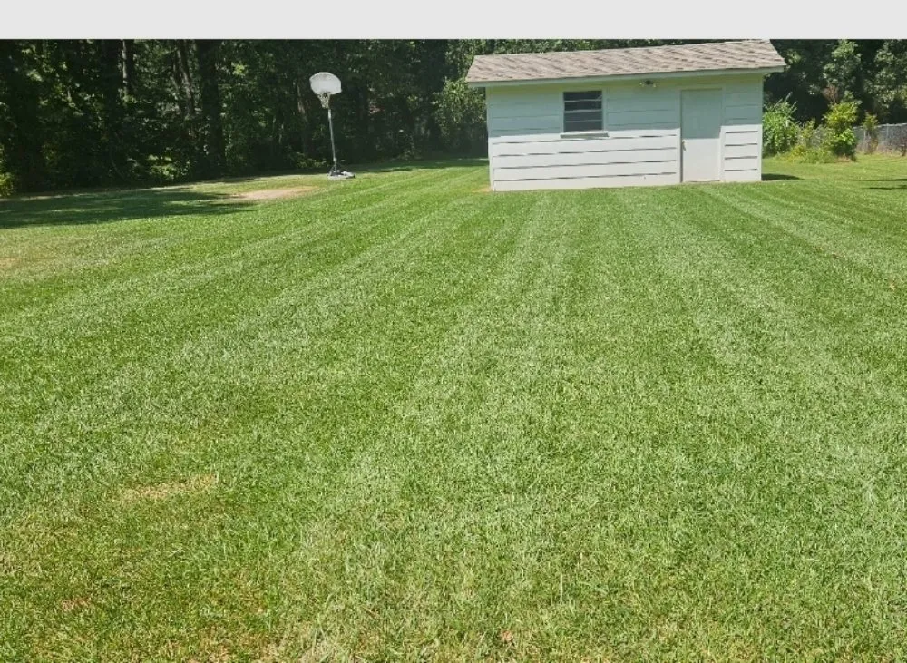 Reliable yard cleanup service in Little Rock, AR by Jareds lawn and landscape