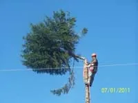 Affordable landscape design in Pequea, PA by Jared's Lawn and Tree Service