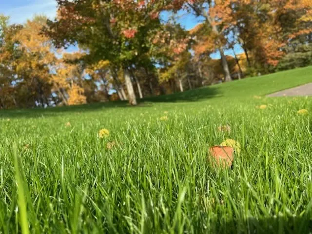 Top-rated yard cleanup service for homes across Brainerd, MN - Jared's Lawn Care