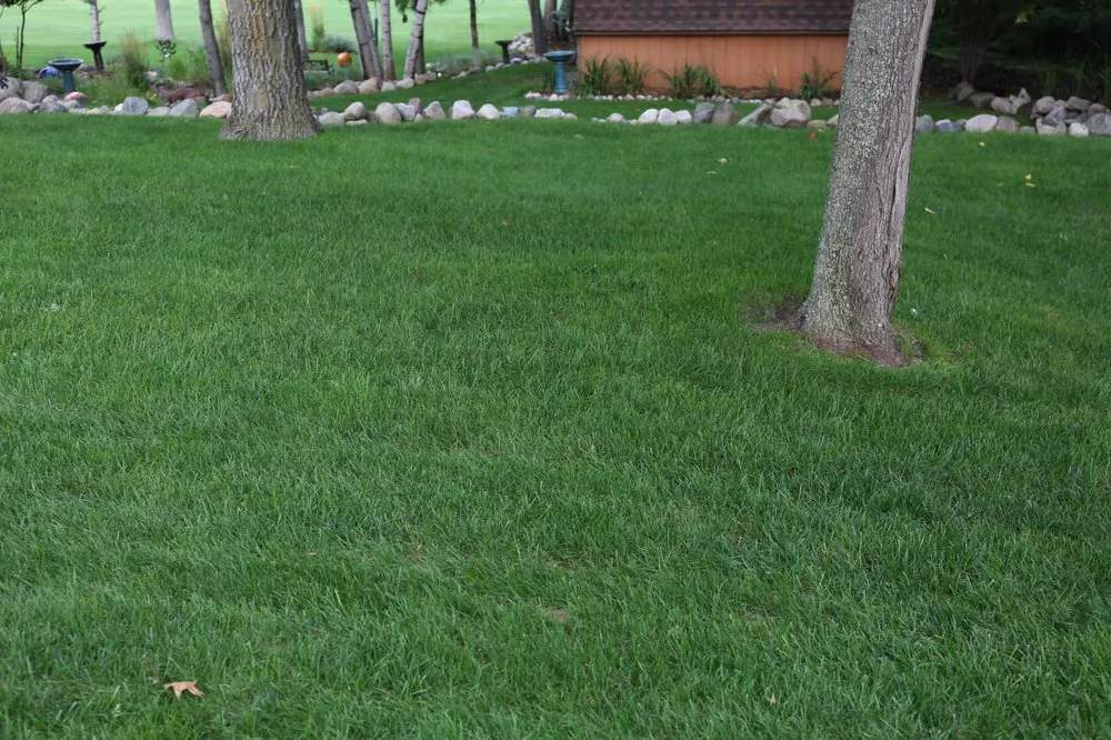 Custom yard maintenance experts serving Brainerd, MN - Jared's Lawn Care