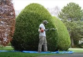 Professional landscape installation experts serving New Lenox, IL - JARED'S LAWN CARE