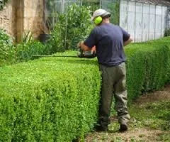 Affordable garden landscaping for year-round maintenance in New Lenox, IL by JARED'S LAWN CARE