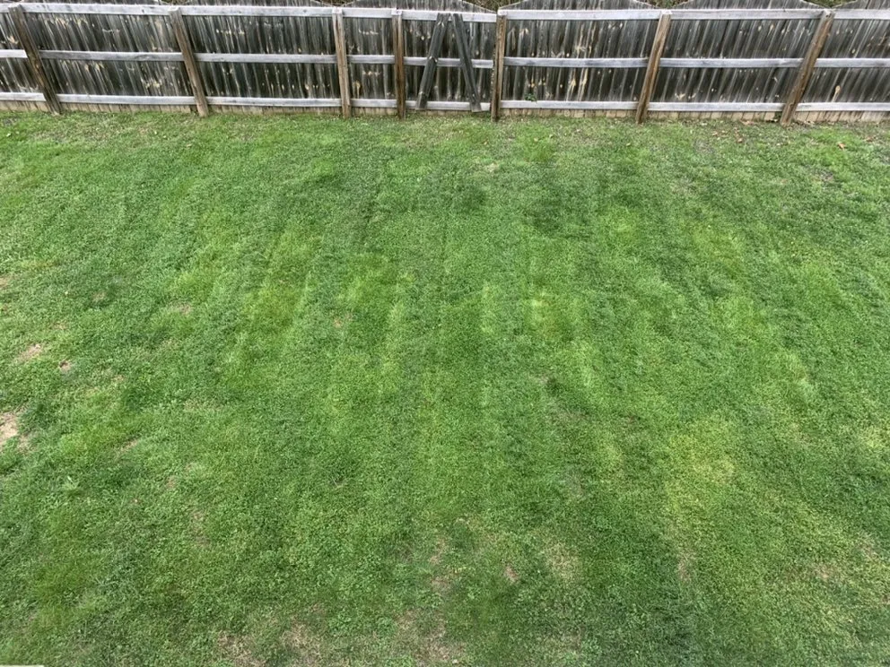 Professional residential landscaping experts serving Knoxville, TN - Jared’s Lawn Mowing