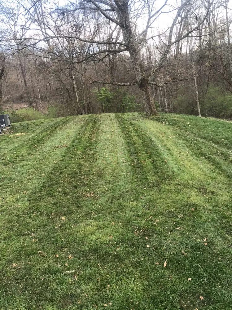 Affordable lawn care service for beautiful yards in Knoxville, TN by Jared’s Lawn Mowing