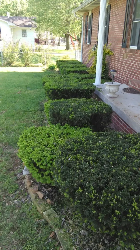 Affordable lawn care service experts serving Cape Girardeau, MO - Jared's Lawn Service