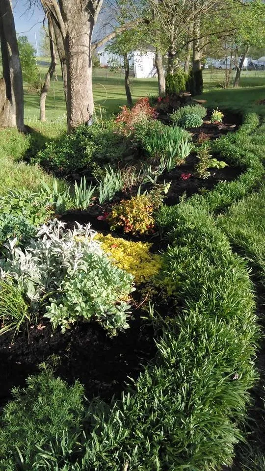 Reliable yard cleanup service experts serving Cape Girardeau, MO - Jared's Lawn Service