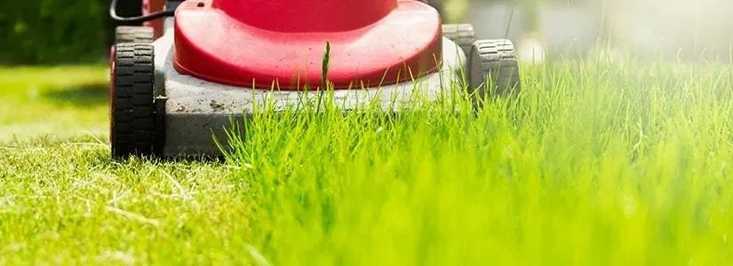Professional garden landscaping for outdoor upgrades in Corpus Christi, TX by Jareds Lawn Service