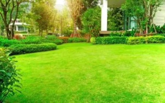Trusted outdoor landscaping for year-round maintenance in Corpus Christi, TX by Jareds Lawn Service