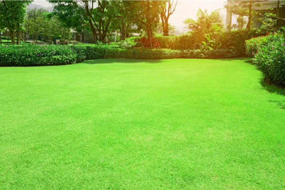 Top-rated landscape design experts serving Corpus Christi, TX - Jareds Lawn Service