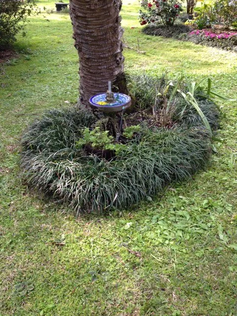 Local yard maintenance near you in Reddick, FL by Jared's Yard Care
