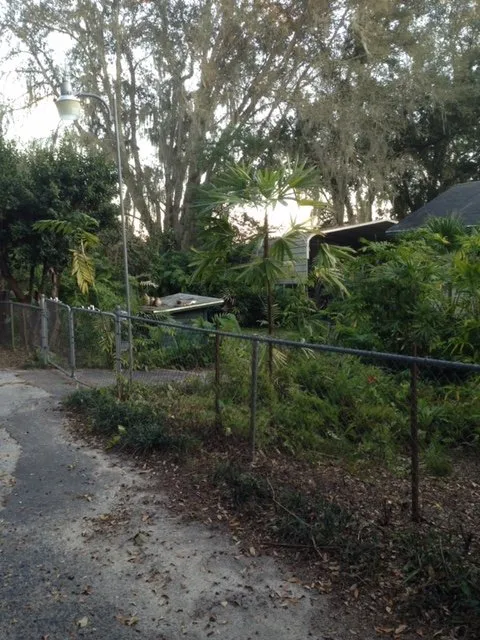 Top-rated lawn mowing service in Reddick, FL by Jared's Yard Care