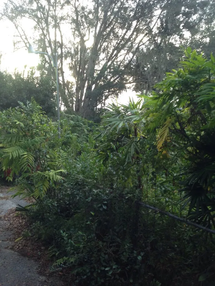 Reliable landscaping services in Reddick, FL by Jared's Yard Care