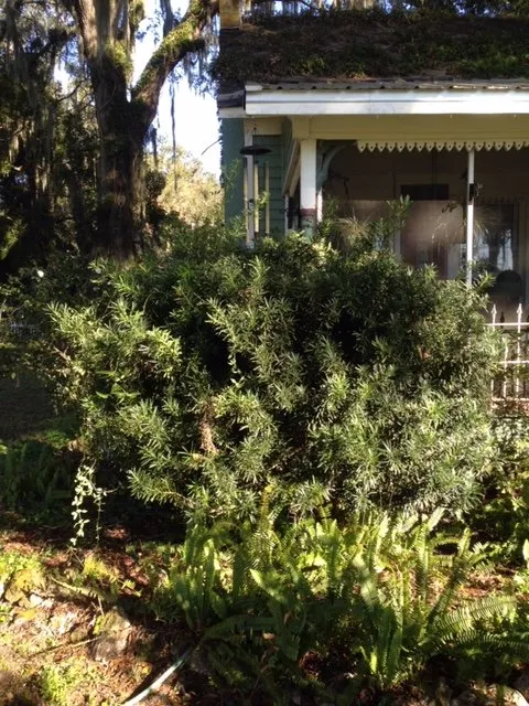 Reliable residential landscaping in Reddick, FL - Jared's Yard Care