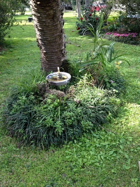 Custom lawn care service in Reddick, FL - Jared's Yard Care