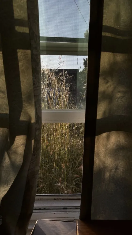 Professional garden landscaping in Richmond, CA by Jaripeo Landscape