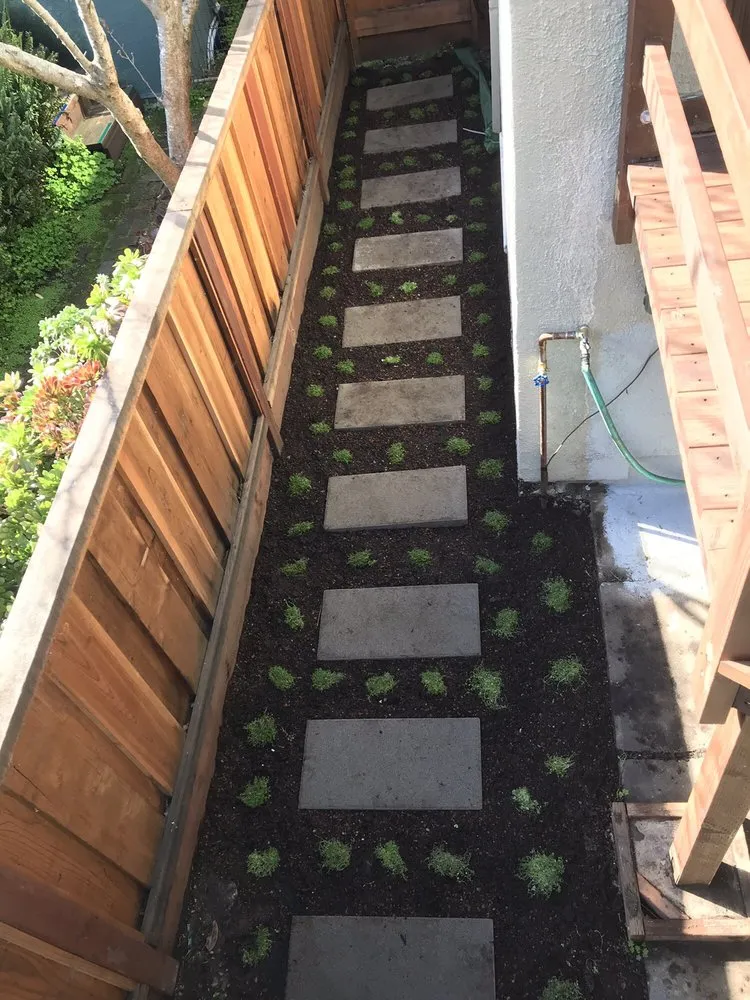 Reliable landscaping services in Richmond, CA by Jaripeo Landscape