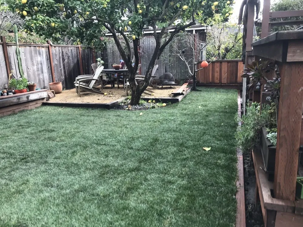 Reliable lawn care service in Richmond, CA by Jaripeo Landscape