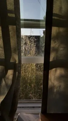 Jaripeo Landscape Logo