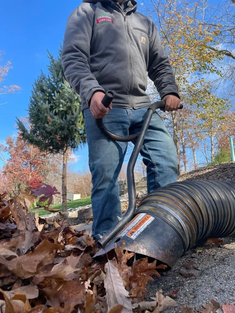 Affordable lawn care service with custom design in Barnett, MO by Jarmon Lawn Care