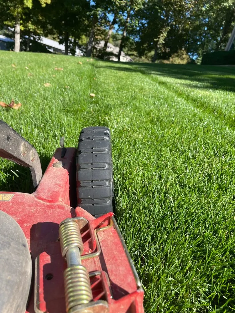 Custom yard cleanup service for year-round maintenance in Barnett, MO by Jarmon Lawn Care