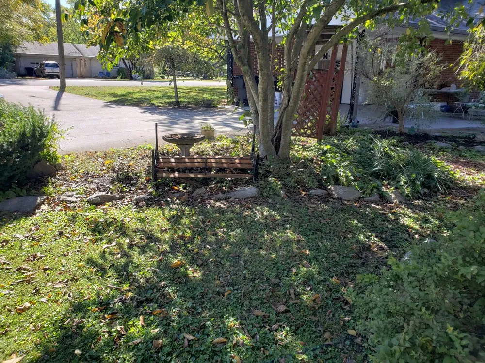 Local lawn care service experts serving Murfreesboro, TN - Jarrard's Lawn and Pressure Washing Service