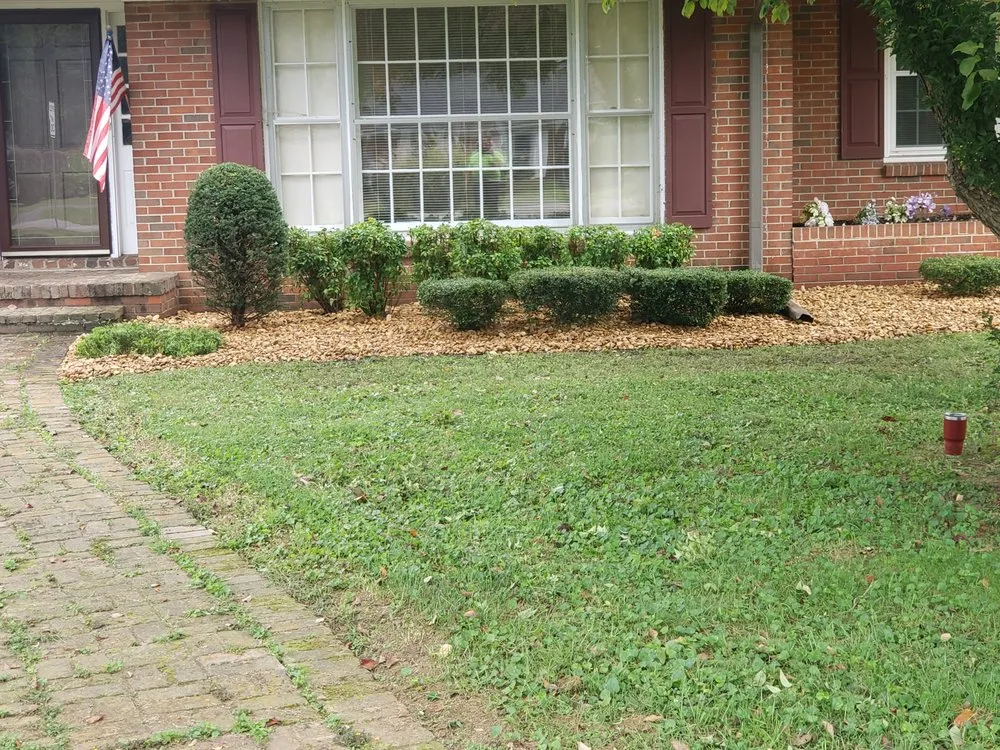 Expert yard cleanup service for residential properties in Murfreesboro, TN by Jarrard's Lawn and Pressure Washing Service