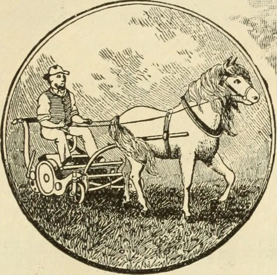 Trusted landscaping services experts serving Jarrell, TX - Jarrell Landscaping