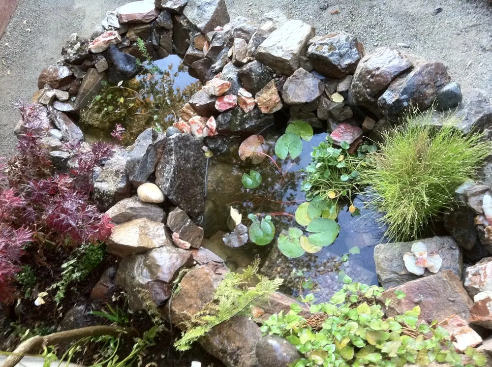 Reliable landscape installation experts serving Oakland, CA - Jarrett Design Landscape & Irrigation