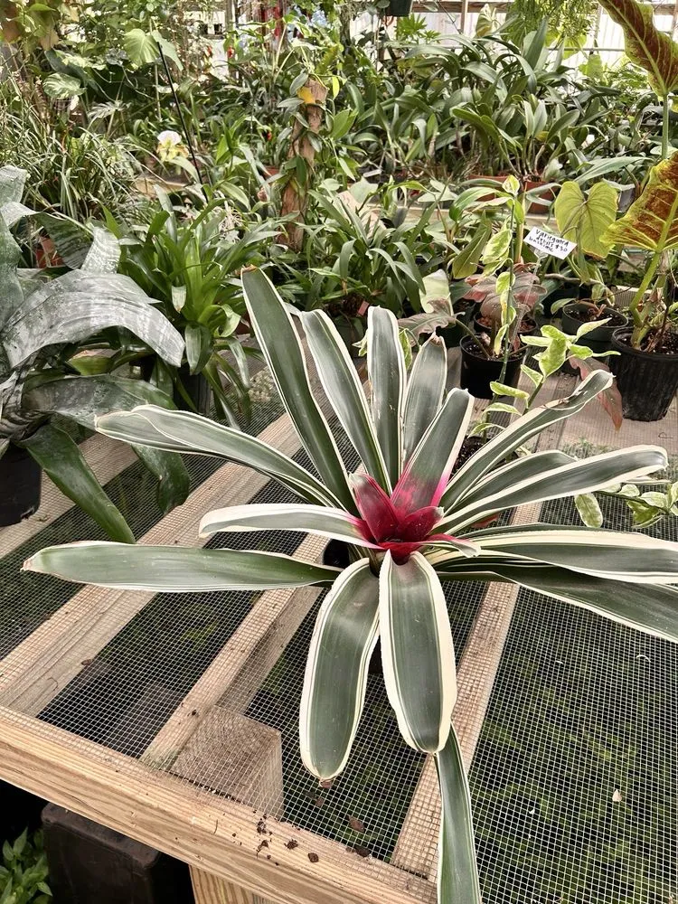 Expert garden landscaping in West Columbia, SC - Jarrett's Jungle