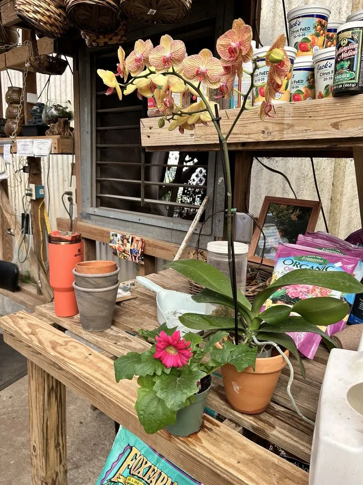 Trusted garden landscaping in West Columbia, SC by Jarrett's Jungle