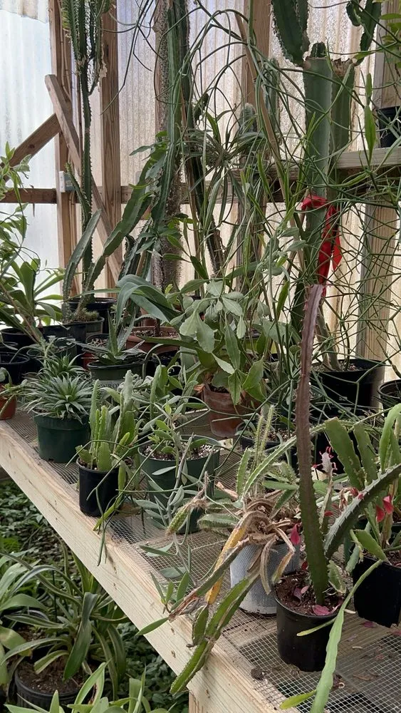 Top-rated landscaping services in West Columbia, SC - Jarrett's Jungle